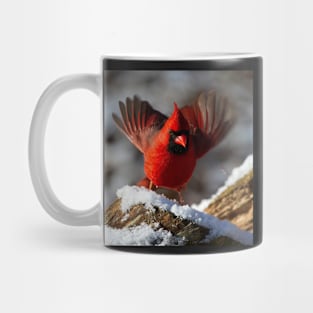 Cardinal Inspirational Signs & Symbols Gifts Mug